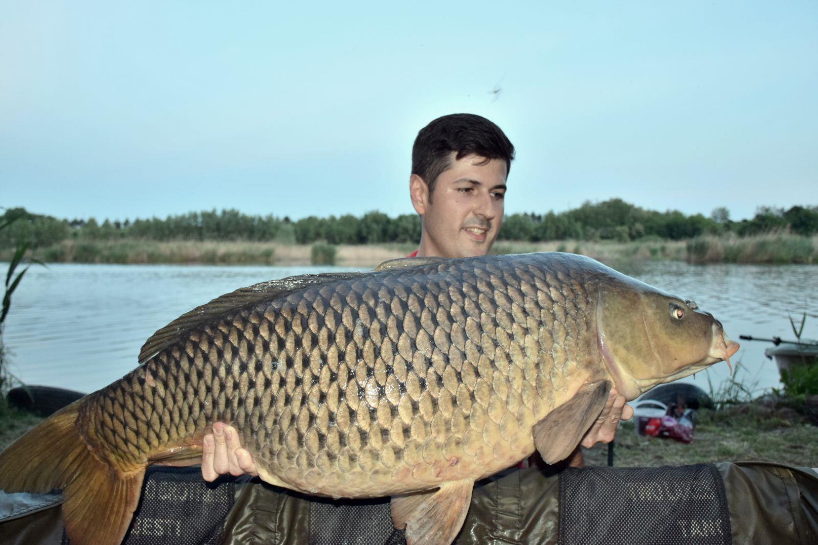 Tancabesti 11 - 13 mai. - 19 kg